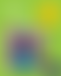 World Book Day Bake-Off