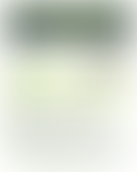 Crofton DandeLIONs Pizza Making