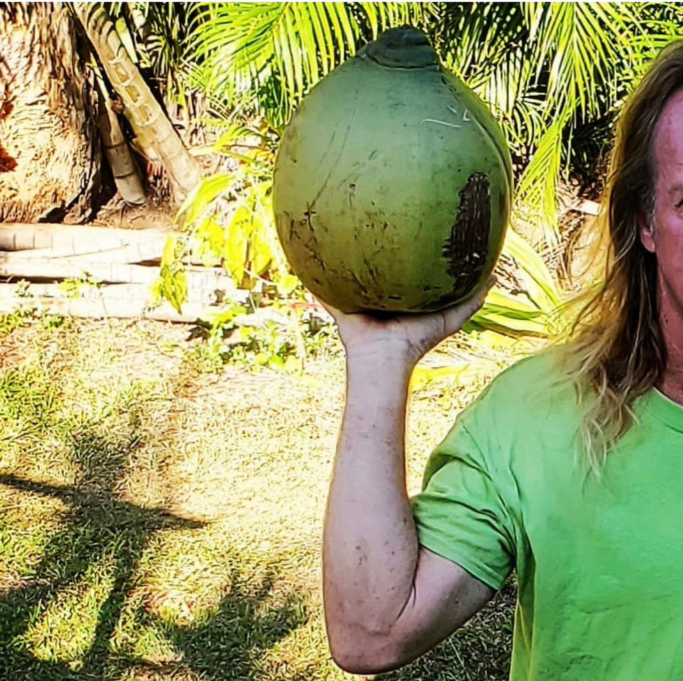 coconut_harvest_single.jpg
