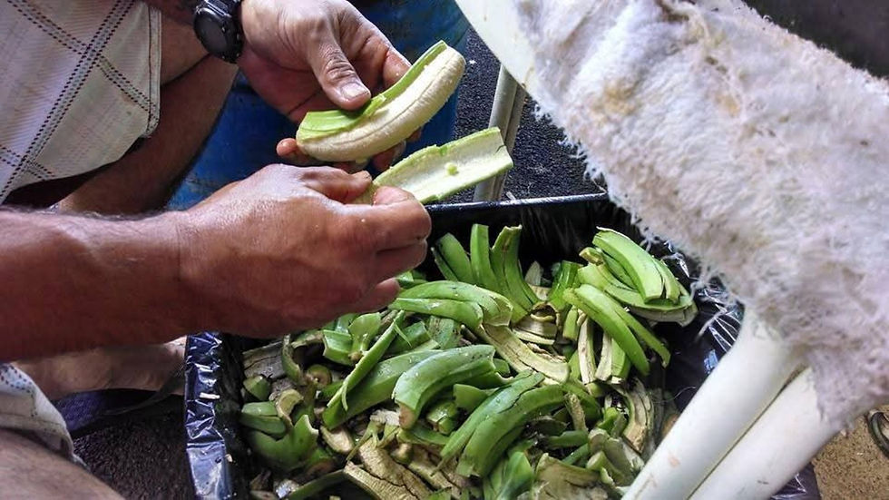 green_banana_pastele_prepare.jpg
