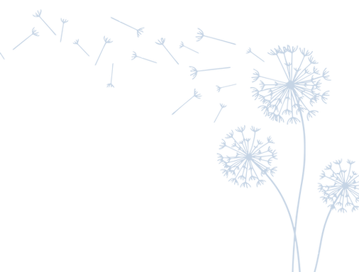 Blue Dandelion sketch