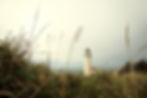 journey-home-lighthouse.jpeg
