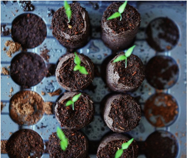The Seeds of Generosity