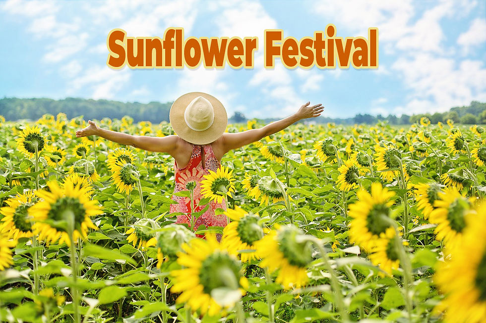 Sunflower Festival