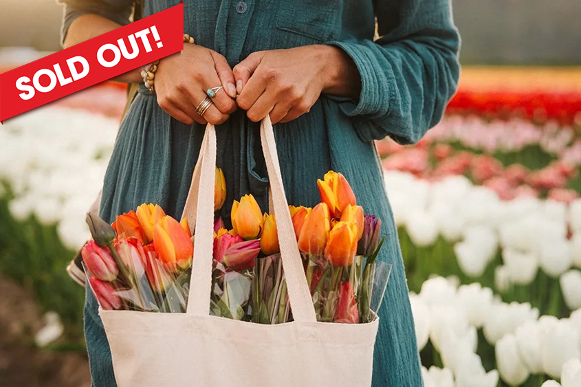 Road Trip: Tulip Festival- Cultus Lake- Fort Langley