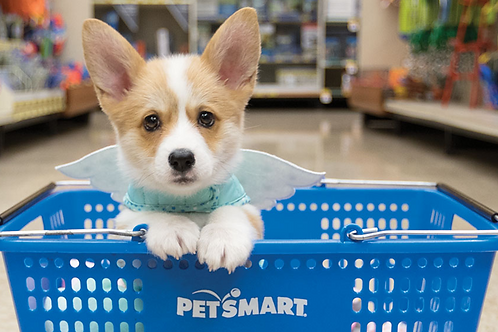 $50 Petsmart Gift Card | jericho-foundation