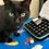 Thumbnail: Black cat looks at camera near small vials on blue patterned blanket.
