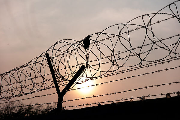 patrick-hendry-daWlqHGWxFk-unsplash (1).jpg