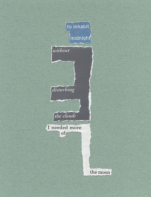 J.I._Kleinberg--to_inhabit.jpg
