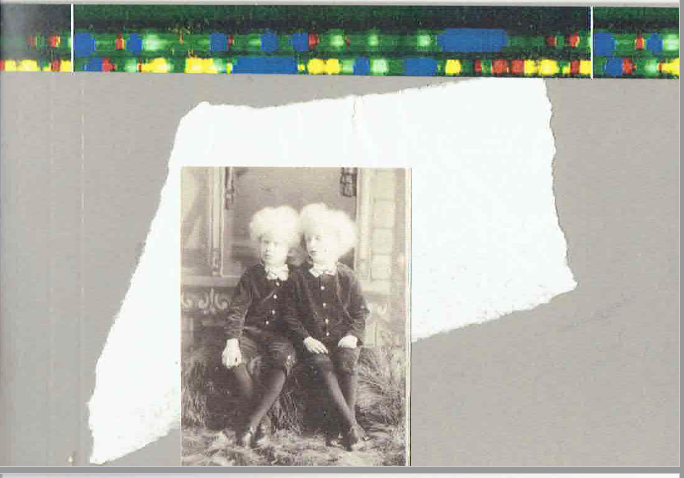 Thumbnail: Sample of cover art from Brad Rose's ONE SENTENCE POEM chapbook