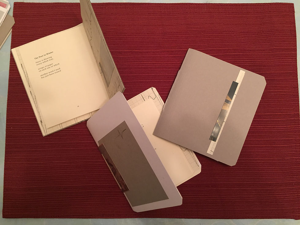 Thumbnail: Howie Good: STILL RUNNING (One Sentence Poems Chapbook #2)