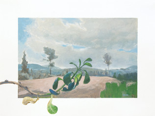 A plant, an Euphorbia milli, in front of a landscape.