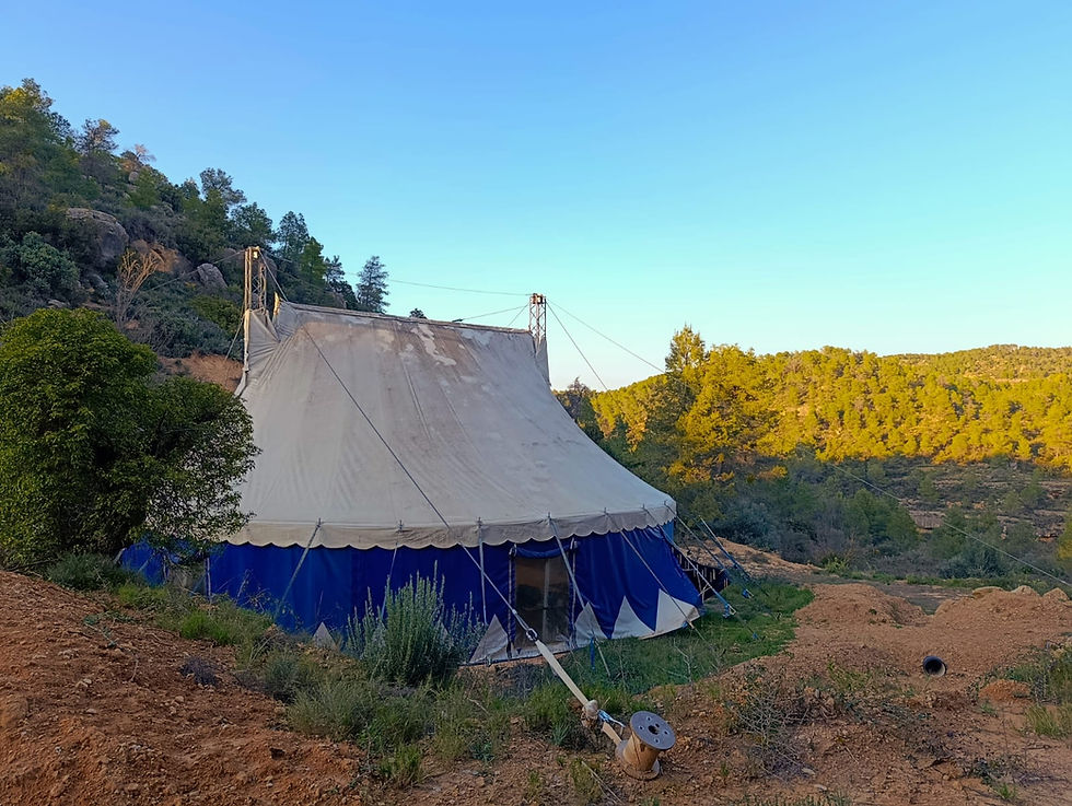 WhatsApp Image 2026-03-22 at 07.40.30