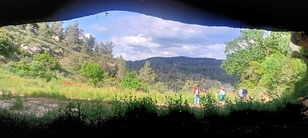 WhatsApp Image 2025-06-26 at 11.44.54