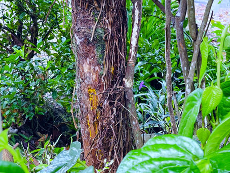 You're absolutely welcome!