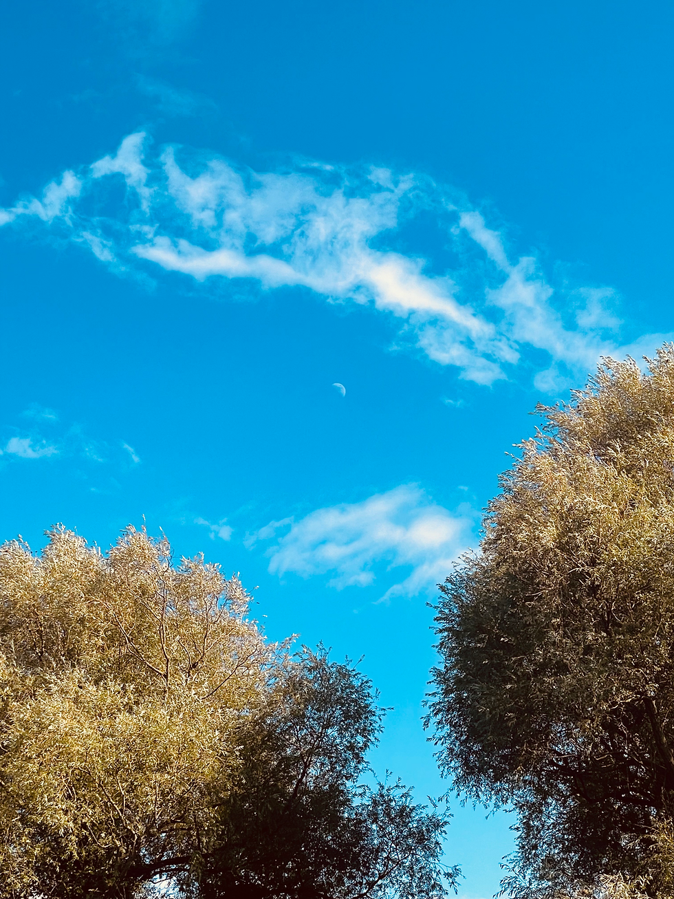 The moon at 1756