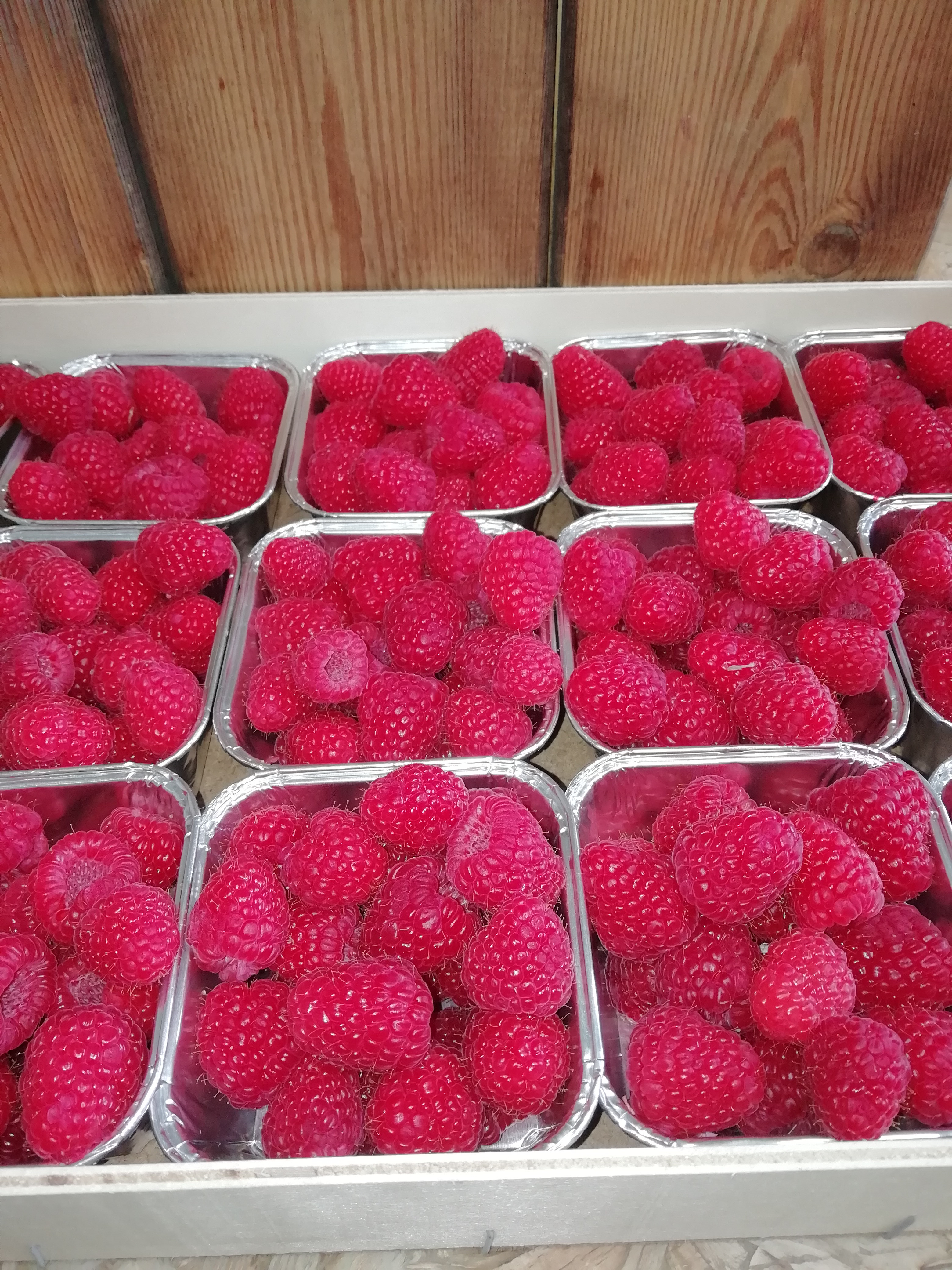 Frambozen  prijs / potje 150 gr.
