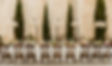 1I8A8861edited.jpg