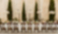 1I8A8861edited.jpg