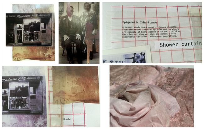 Mould trappings.
Based on DNA, epigenetic inheritance.