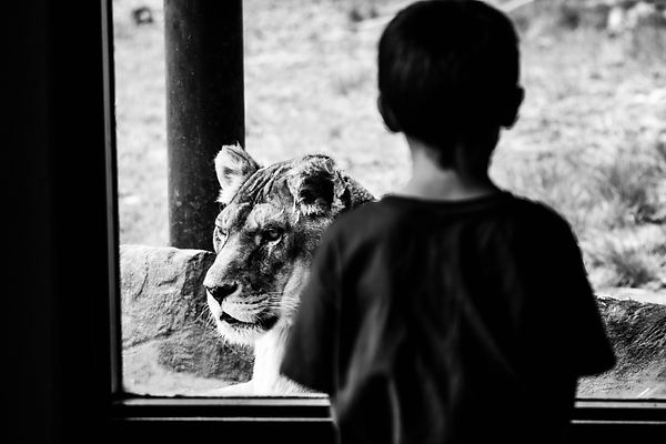 pexels-kevin-bidwell-2097709.jpg