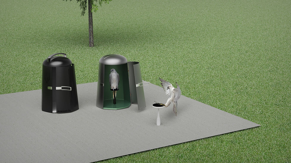 Picnic Render.jpg