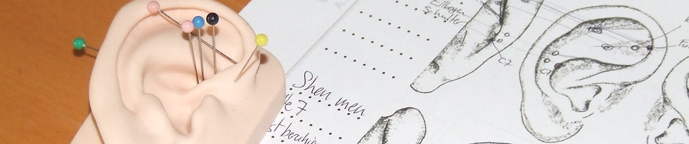 Gummiohr zum Üben und Mitschrift im Ohrskriptum