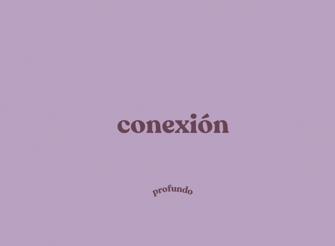 conexion.gif