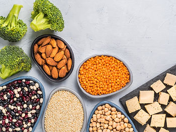 vegetarian plant protein