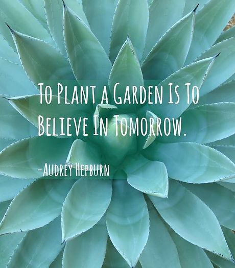 garden.jpg