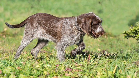DSC_4725_edited.jpg