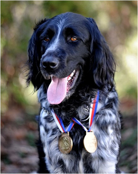 CAC,r.CACIB