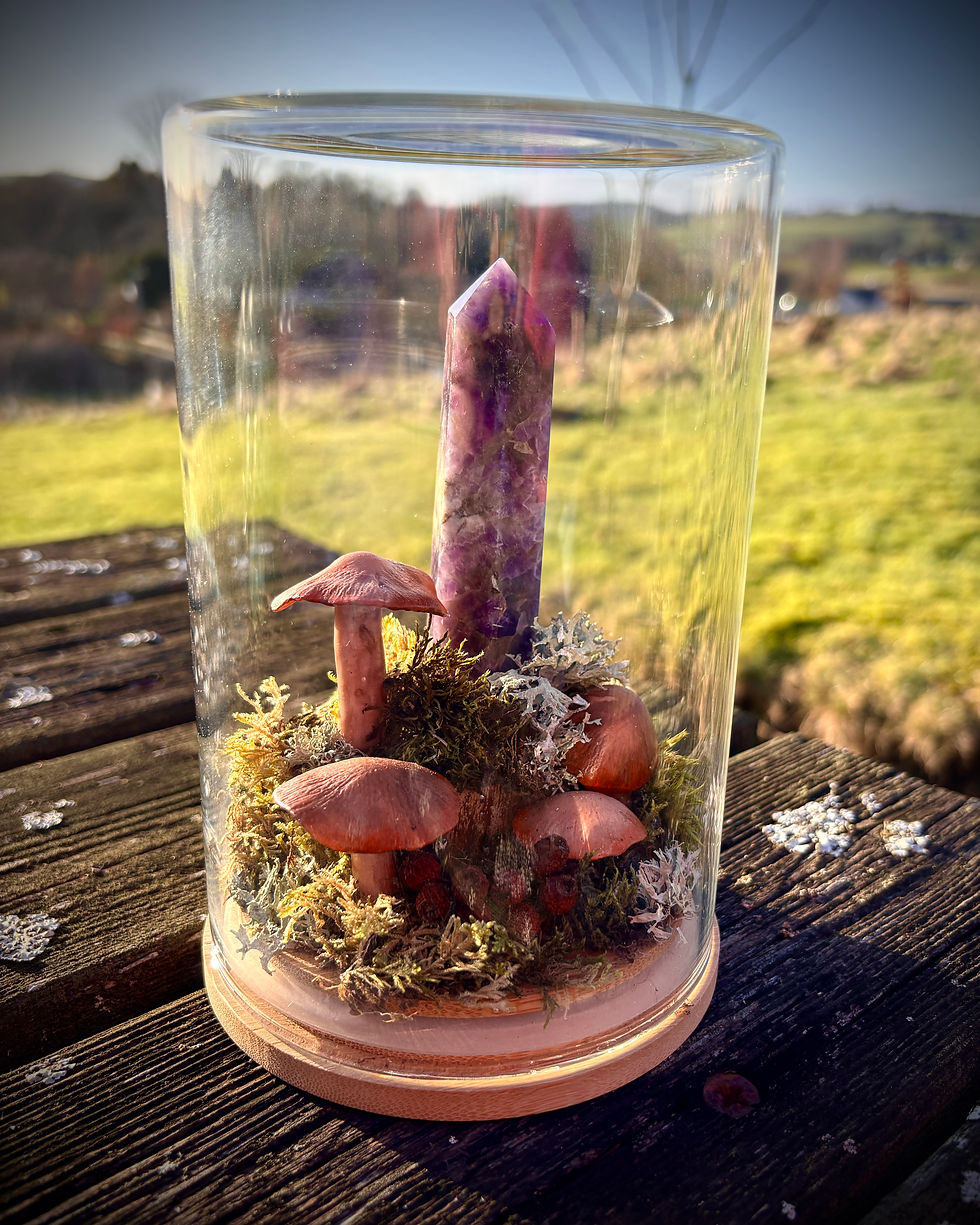 Thumbnail: Hidden Glade Faux Terrarium