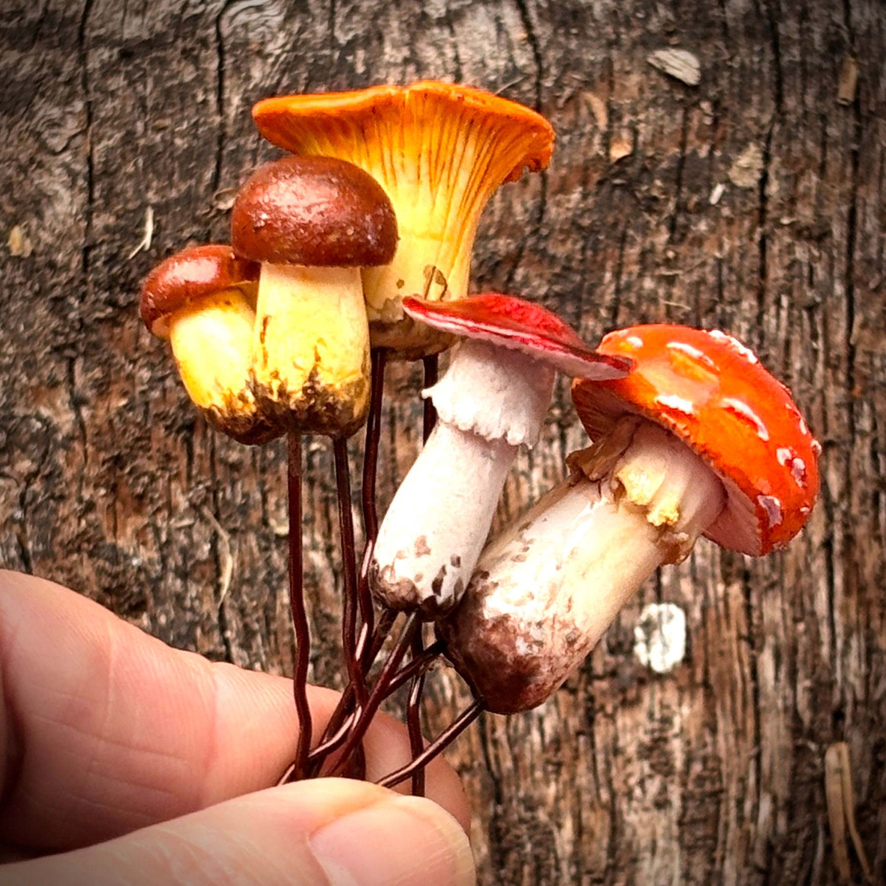 Fungi hair pins - Set of 4