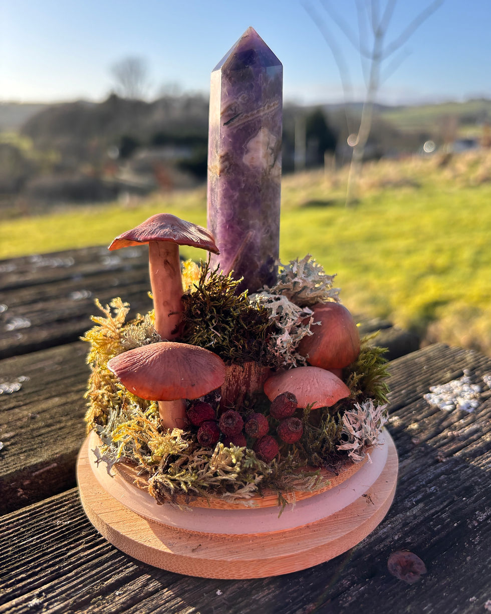 Thumbnail: Hidden Glade Faux Terrarium