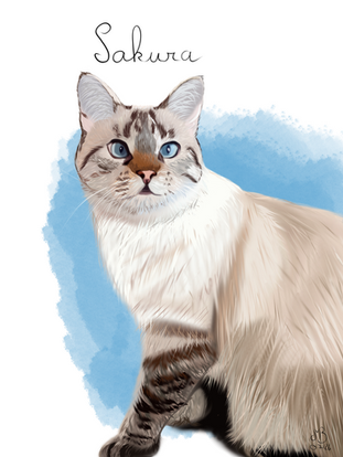 Chats