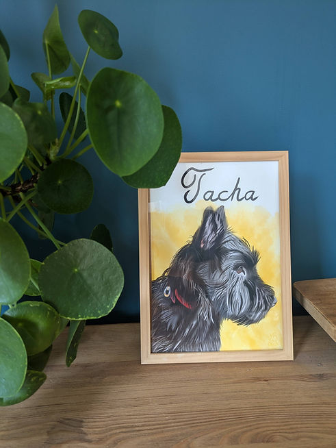 homepage-cadre-illustration-tacha.jpg