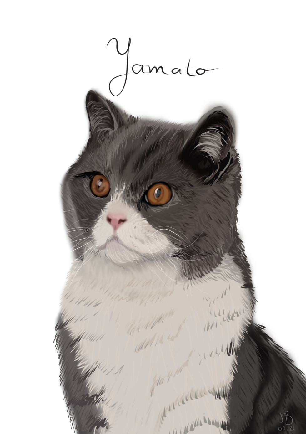portfolio-chats-yamato