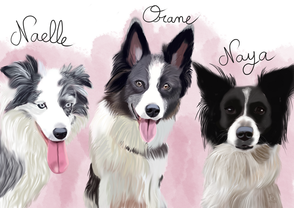portfolio-plusieurs-animaux-naelle-orane-naya