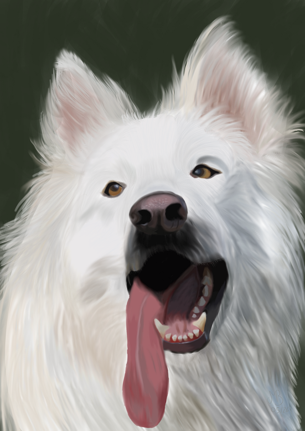 portfolio-chiens-loki