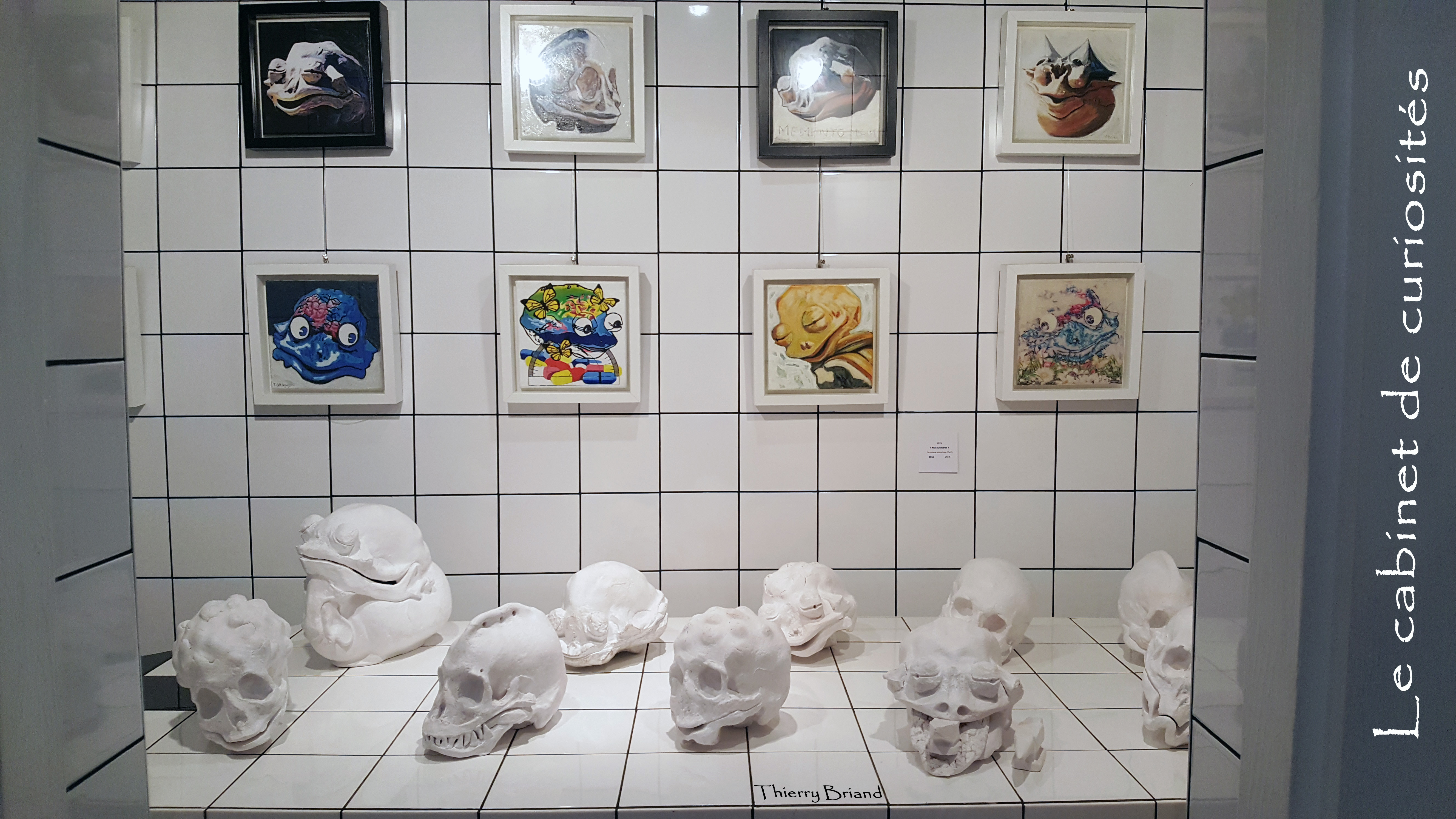 Cabinet de curiosités
