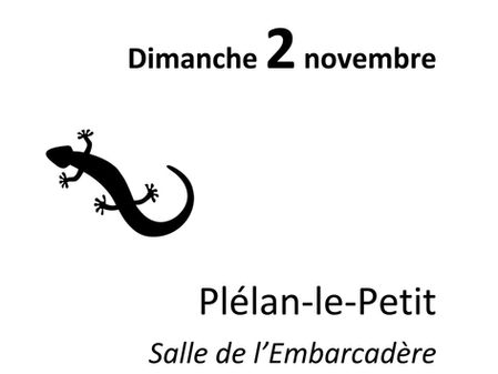 "Plé art" - PLELAN LE PETIT