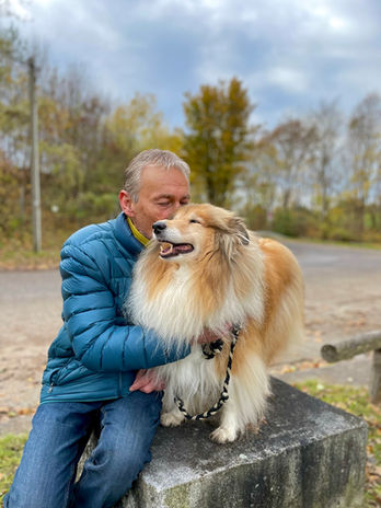 Hundetraining München - Hundeschule A Hund is a scho