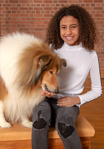 A Hund Is A Scho - Hundeschule Manuel Krupa Hundeschule München - A Hund is a scho, aus Liebe zum Hund!