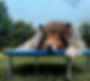Erziehungskurs_Hundeschule München_A Hund is a scho.jpg