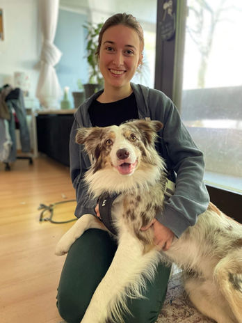 Hundeverhaltenstherapie München - Hundeschule A Hund is a scho