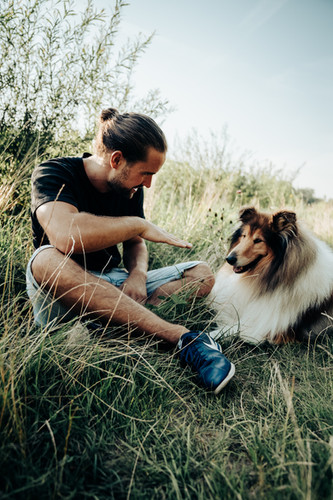 A Hund Is A Scho - Hundeschule Manuel Krupa Hundetrainer München | Manuel Krupa | A Hund is a scho