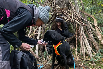 Mantrailing mit der Hundeschule A Hund is a scho - Zielperson versteckt sich im Wald