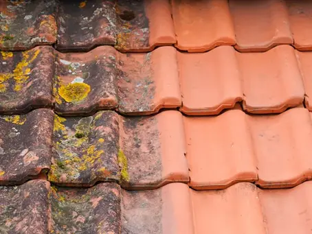 Bonne société de démoussage de toiture à Lisieux (14100) – Entreprise professionnelle et fiable