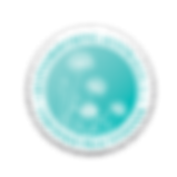 Hypnobirthing_CP_Seal_WEB (transparent).